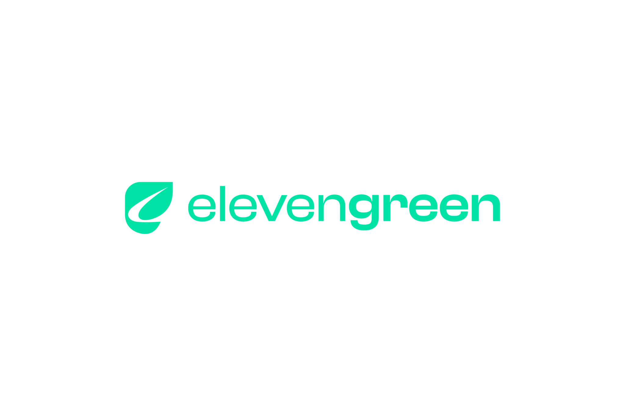 Logo elevengreen